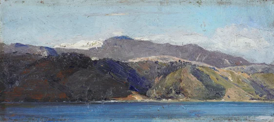 In Quarantäne, Wellington